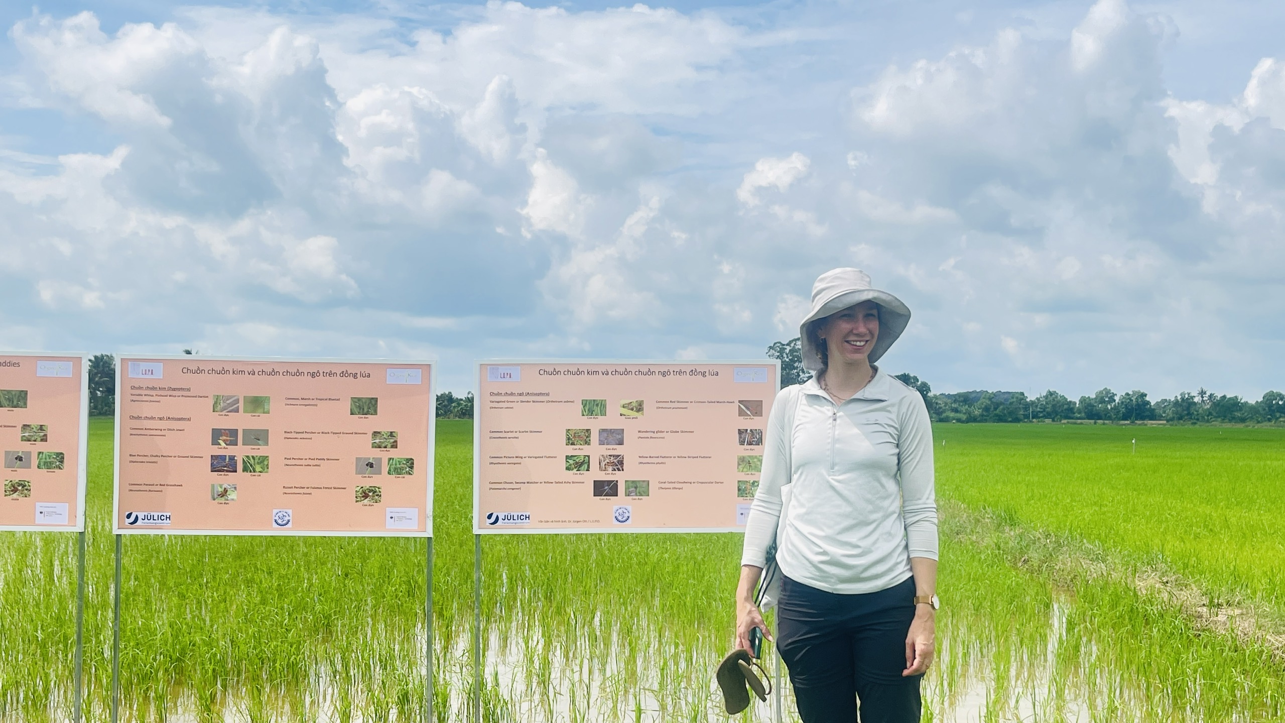 Mô hình thực nghiệm lúa hữu cơ tại ấp Ngãi Lợi xã Hưng Mỹ 