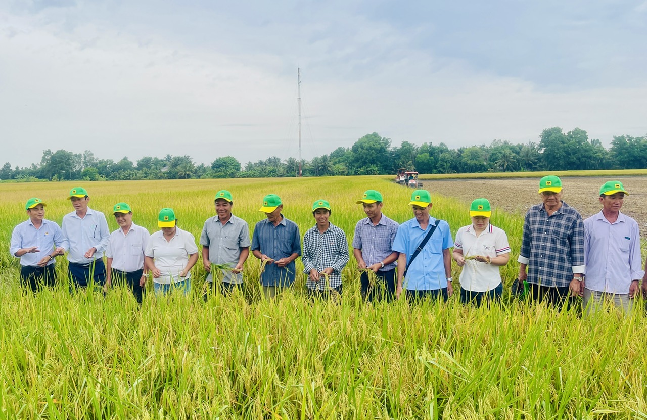 Sơ kết mô hình “Canh tác lúa giảm phát thải phục vụ phát triển bền vững vùng nguyên liệu lúa gạo xuất khẩu đồng bằng sông Cửu Long”.