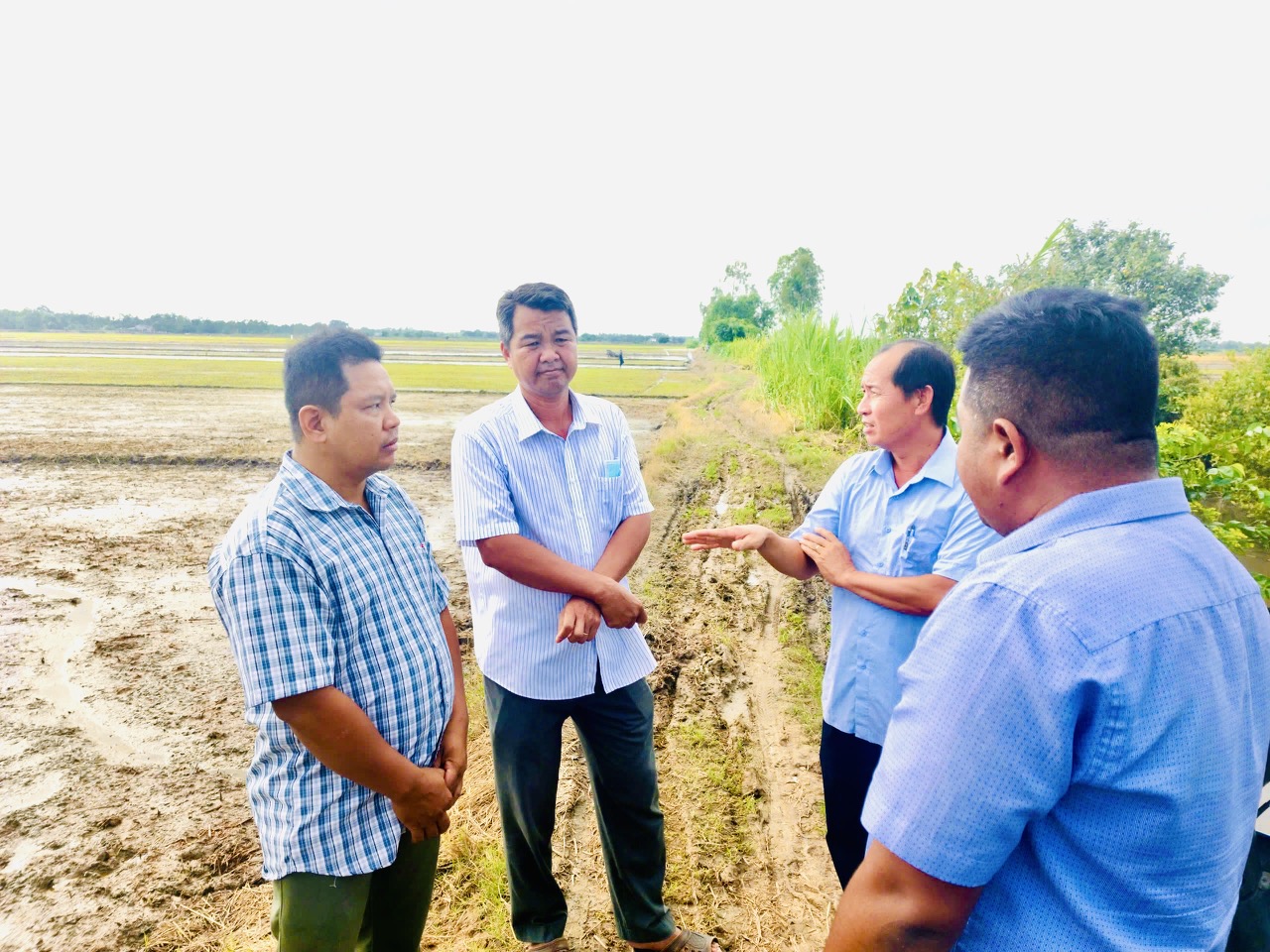 Phó Bí thư Thường trực Đảng ủy xã Hưng Mỹ khảo sát vùng sản xuất lúa phát thải thấp